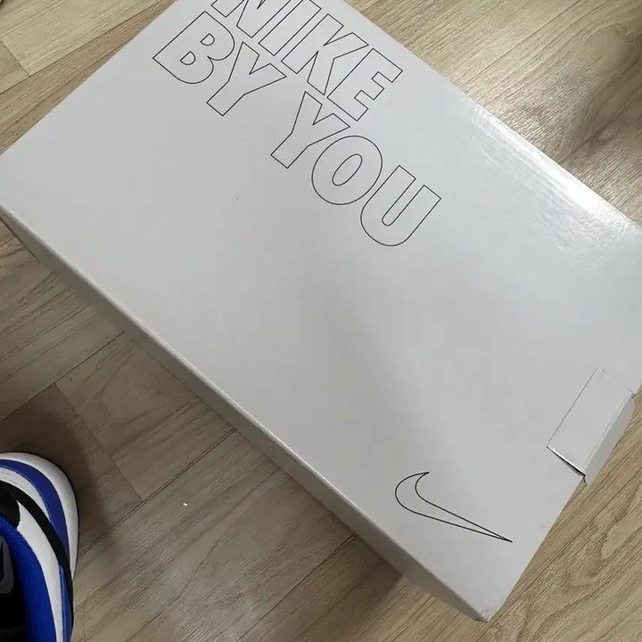 [BUNJANG] Nike Dunk Low Custom Color Sneakers / 나이키 덩크 로우