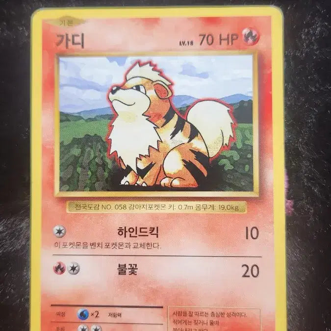 [BUNJANG] Pokemon Card Gardie / 포켓몬 카드 가디