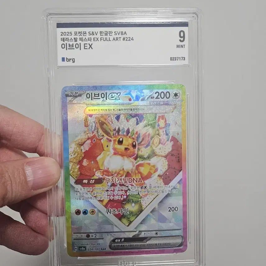 [BUNJANG] Pokemon Eevee EX Tera Card / 포켓몬 이브이 테라 카드  팝니다 피카츄