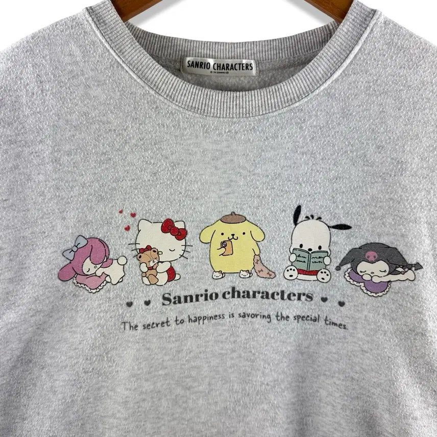 [BUNJANG] Sanrio Characters Gray Sweatshirt / 산리오캐릭터즈 그레이 스웻셔츠3007