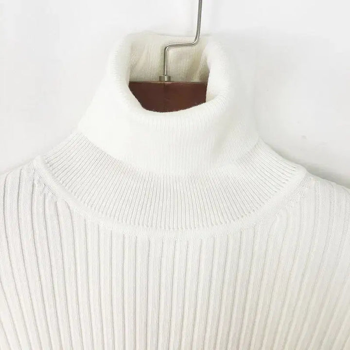 [BUNJANG] ZARA Ribbed Turtleneck Knit Sweater S / 자라 새상품 골지 폴라니트  S