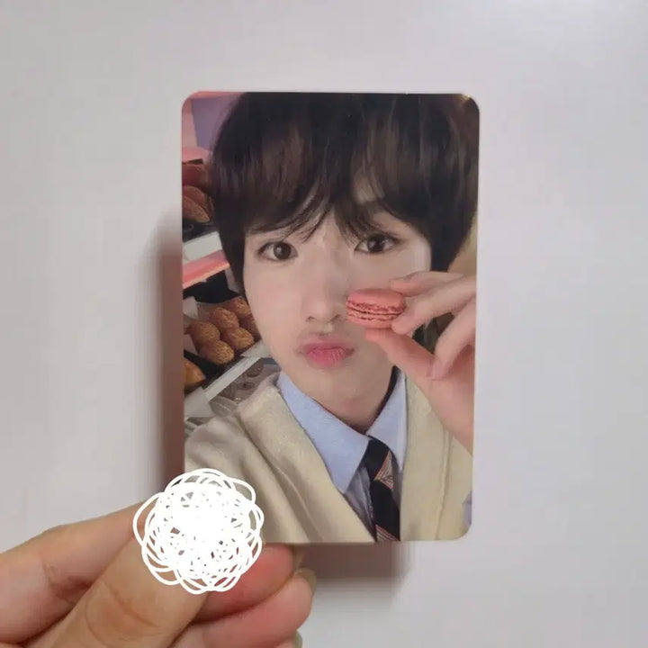 [BUNJANG] NCT WISH Sakuya POB Photocard / 엔시티위시 사쿠야 마카롱 슴스 미공포 포카 슴스토어 위시베이커리