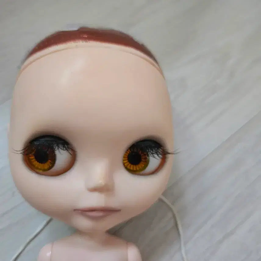 [SOLD OUT] 브라이스 커스텀