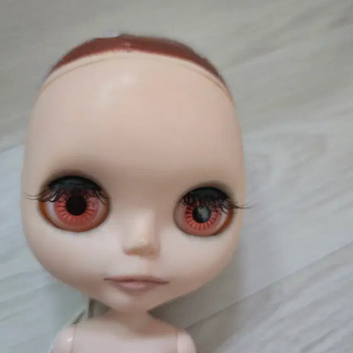 [SOLD OUT] 브라이스 커스텀