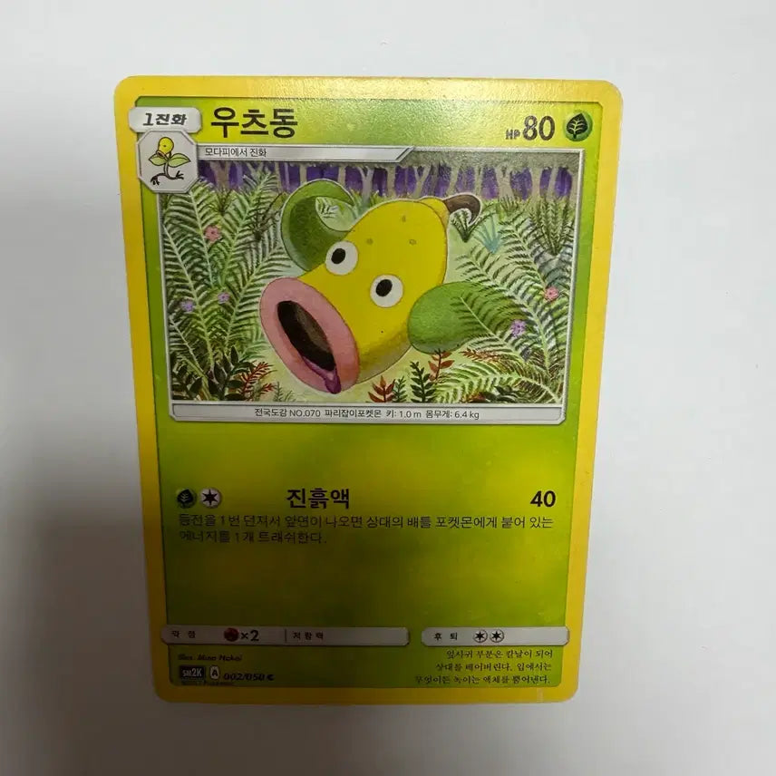 [BUNJANG] Utsudon Pokemon Card / 우츠동 포켓몬카드