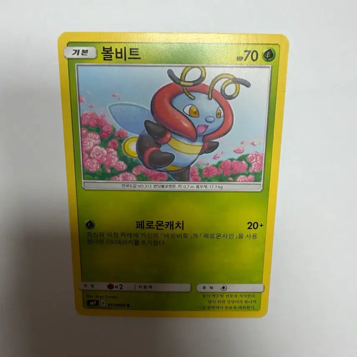 [BUNJANG] Volbeat Pokemon Card / 볼비트 포켓몬카드