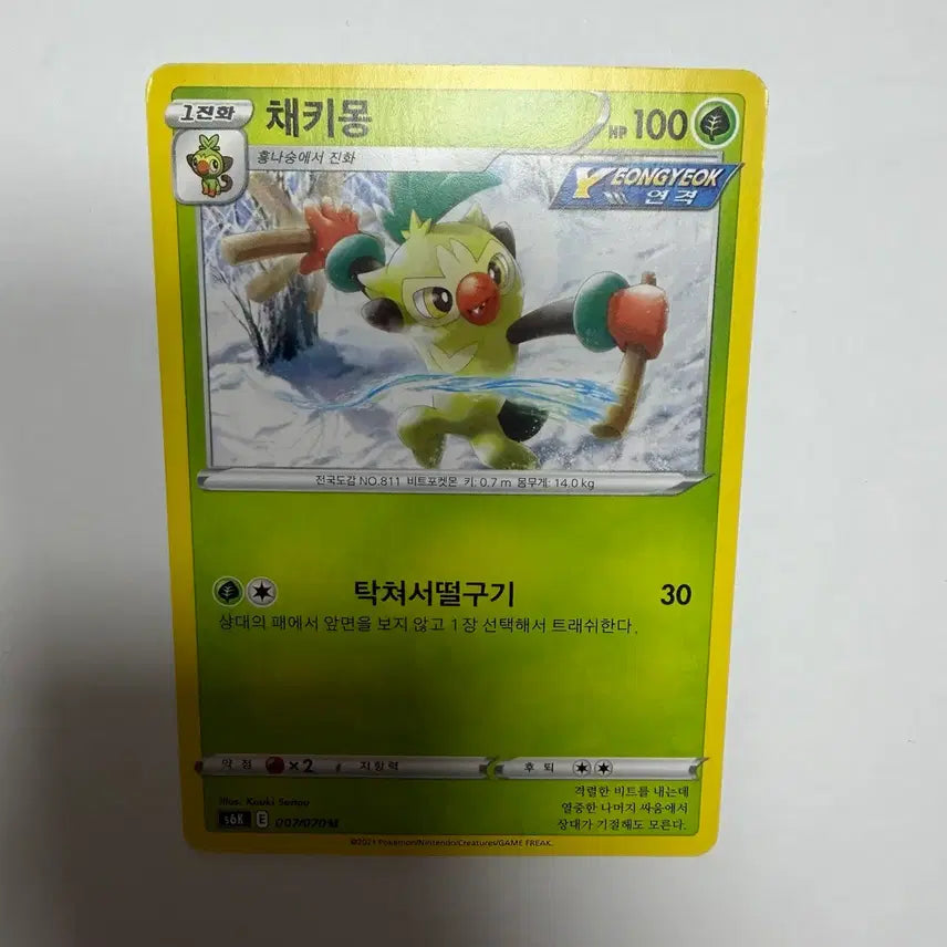 [BUNJANG] Chae Ki Mong Pokemon Card / 채키몽 포켓몬카드