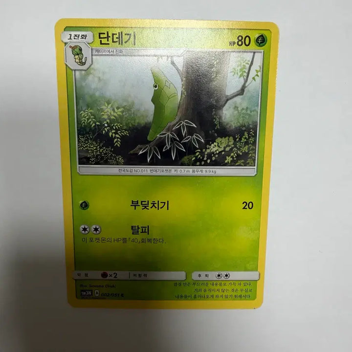 [BUNJANG] Dandegi Pokemon Card / 단데기 포켓몬카드