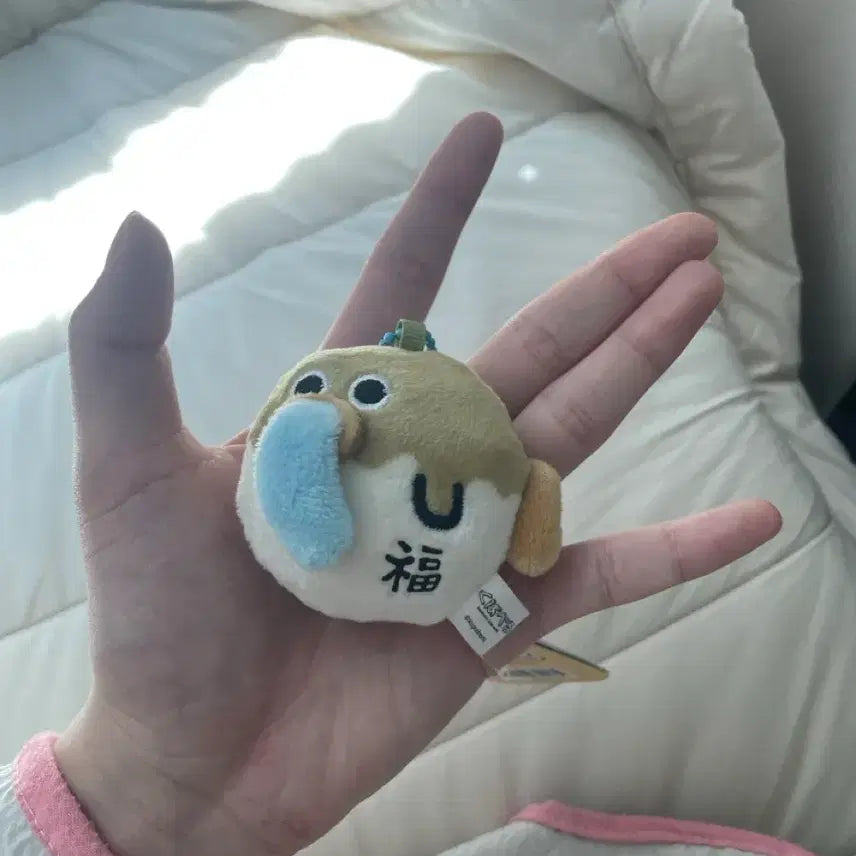[BUNJANG] Pufferfish Plush Toy / 판완!