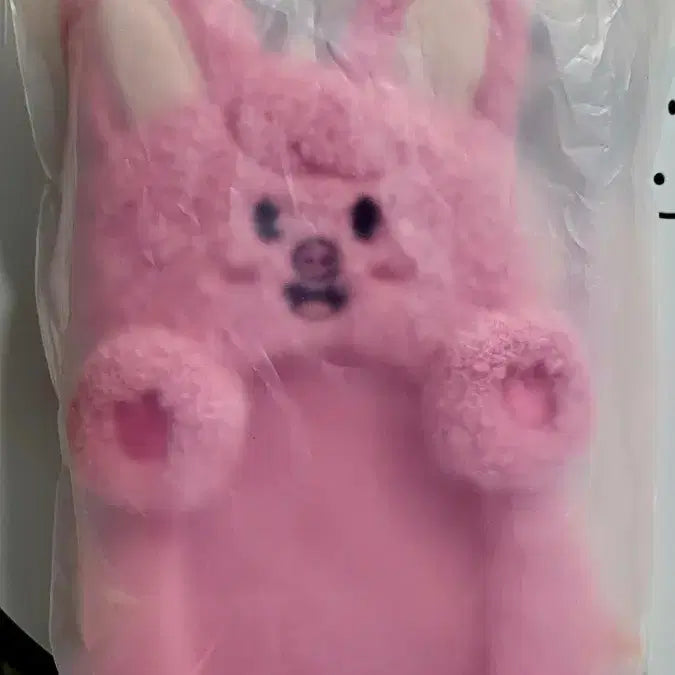 [BUNJANG] Dwaekki Ril Photocard Holder (Sealed) / 반택무료) 돼끼 릴 포카 홀더 미개봉