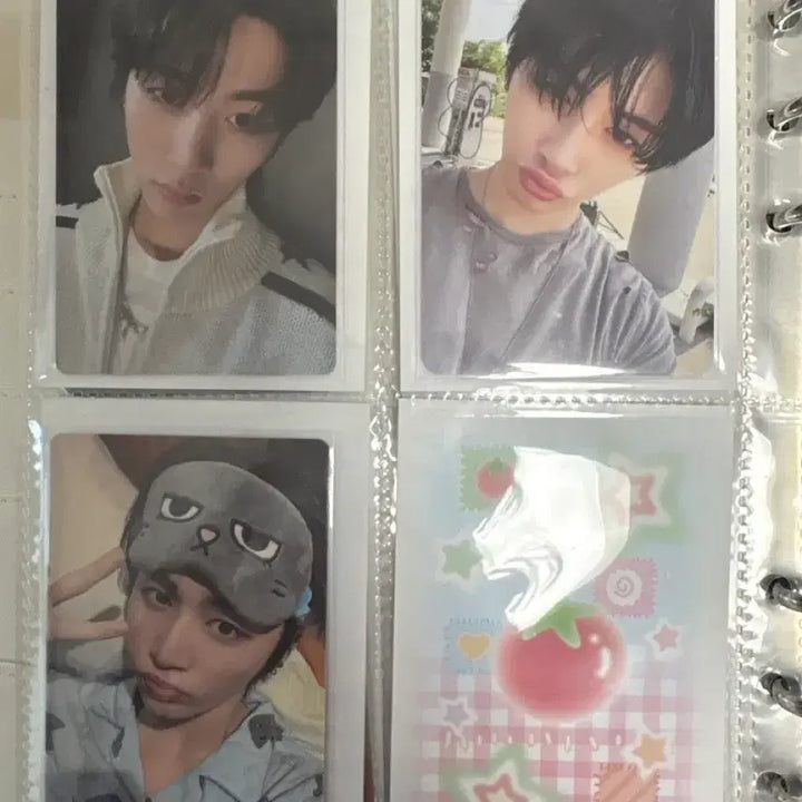 [SOLD OUT] 보넥도 태산 일괄 판매