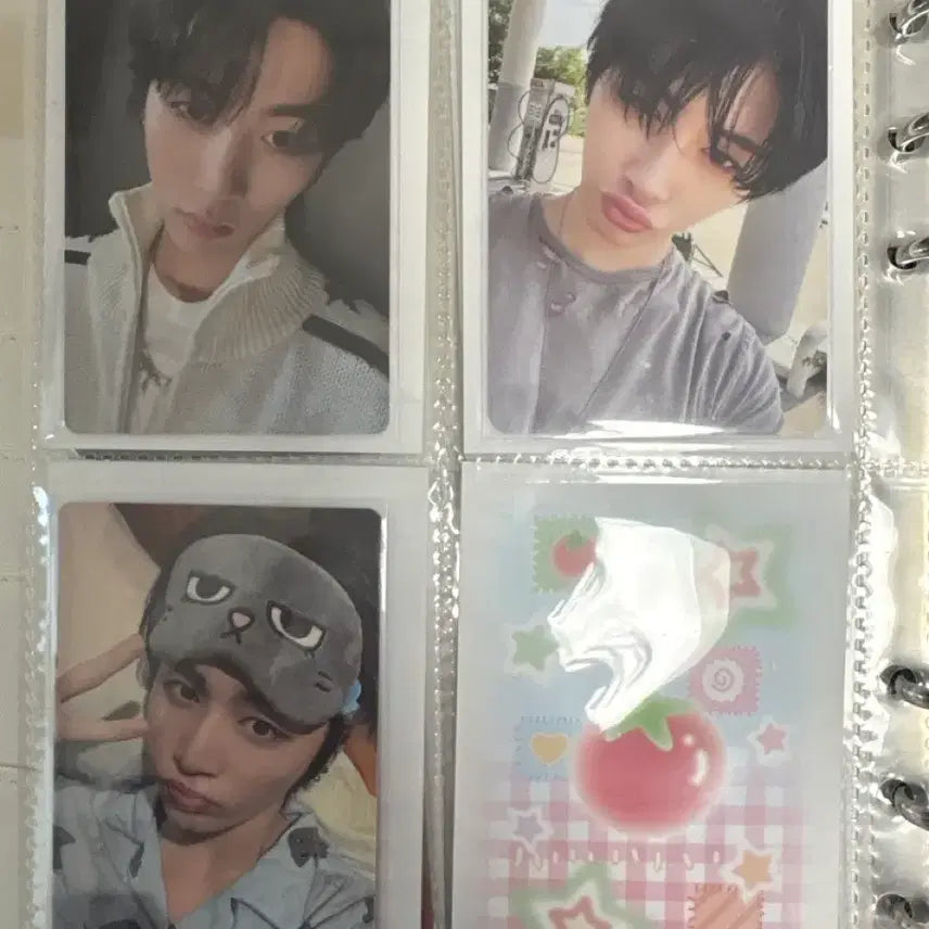 [SOLD OUT] 보넥도 태산 일괄 판매