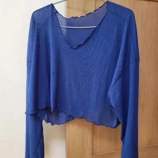 [BUNJANG] Blue Sheer Crop Long Sleeve Top / 블루 시스루 크롭 긴팔티