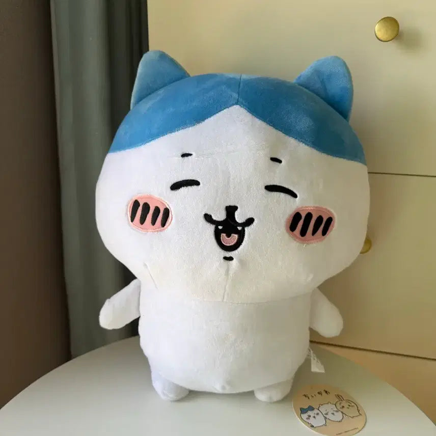 [SOLD OUT] 먼작귀 하치와레 대형