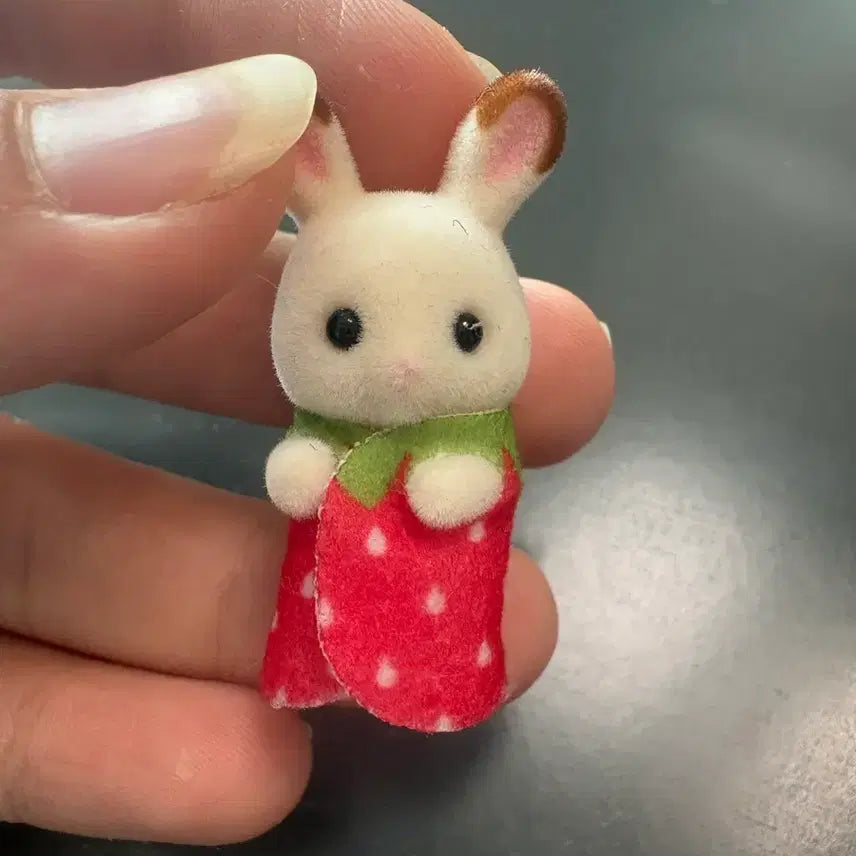 [BUNJANG] Sylvanian Families Bundle Lot / 실바니안 일괄판먀