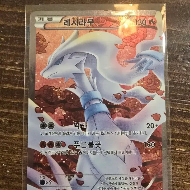 [SOLD OUT] 포켓몬카드 레시라무 샤이니컬렉션