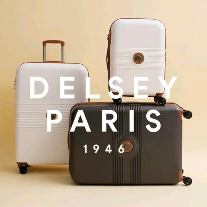 [BUNJANG] DELSEY Premium Leather Briefcase / 프랑스 프리미엄 캐리어 서류가방