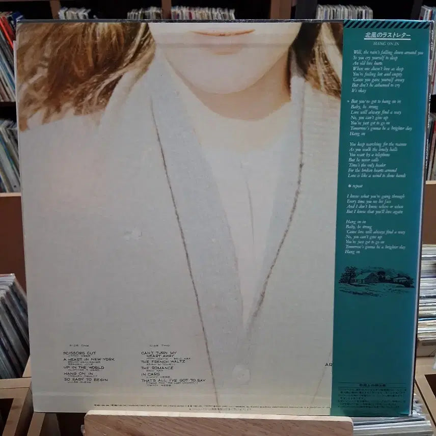 [BUNJANG] The Art Garfunkel Scissors Cut LP Vinyl / 민트급 아트 가펑클 Scissors Cut LP 바이닐 할인