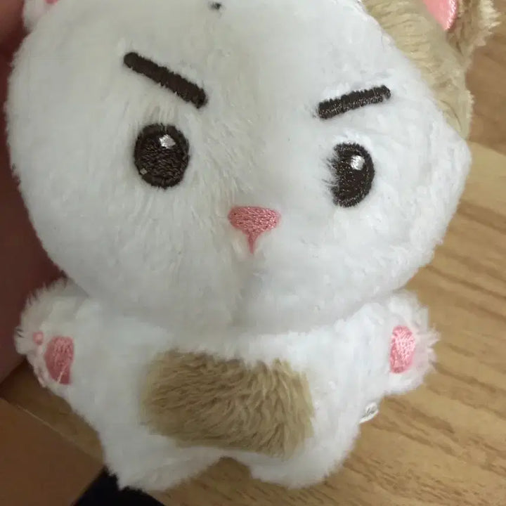 [BUNJANG] Koo Gyo Hwan Gujji Doll / 구교환 인형 구찍이 양도합니다