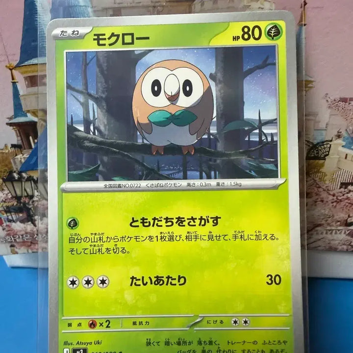 [BUNJANG] Pokemon Rowlet Trading Card / 일판 포켓몬카드 나몰빼미
