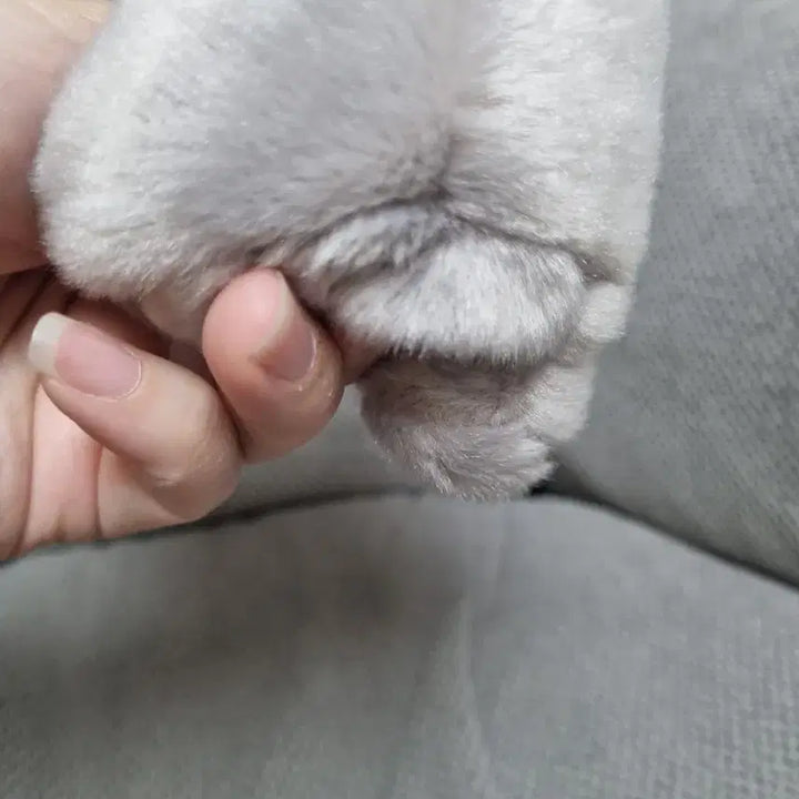 [BUNJANG] Mini Pet Baby Elephant Plush Doll / 내손안에미니펫 아기코끼리 새상품 인형