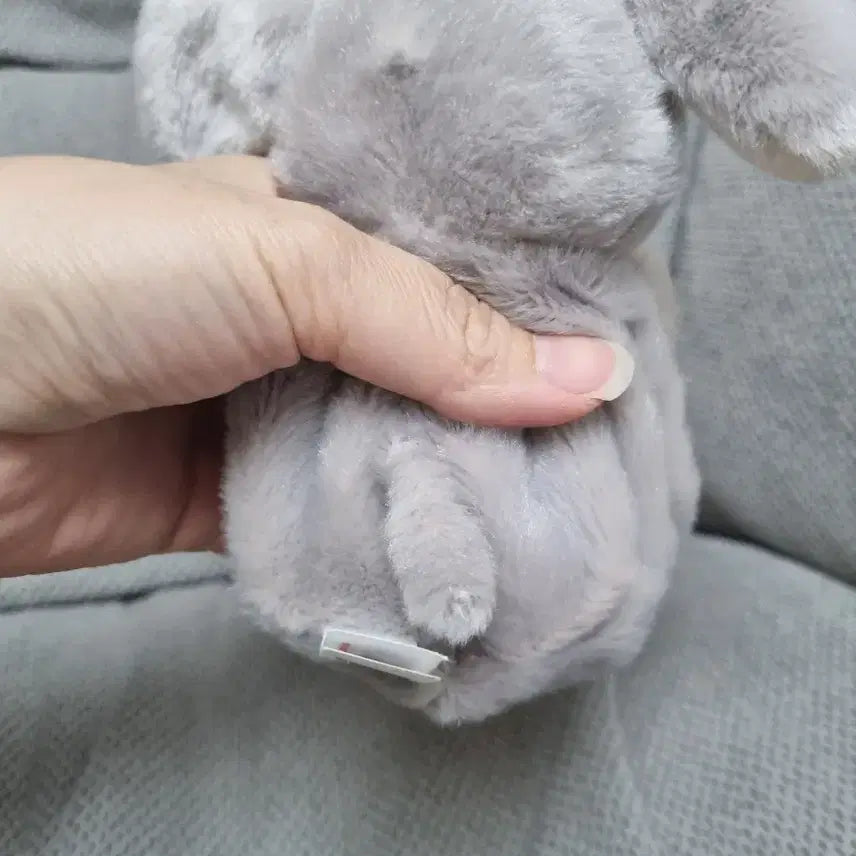 [BUNJANG] Mini Pet Baby Elephant Plush Doll / 내손안에미니펫 아기코끼리 새상품 인형