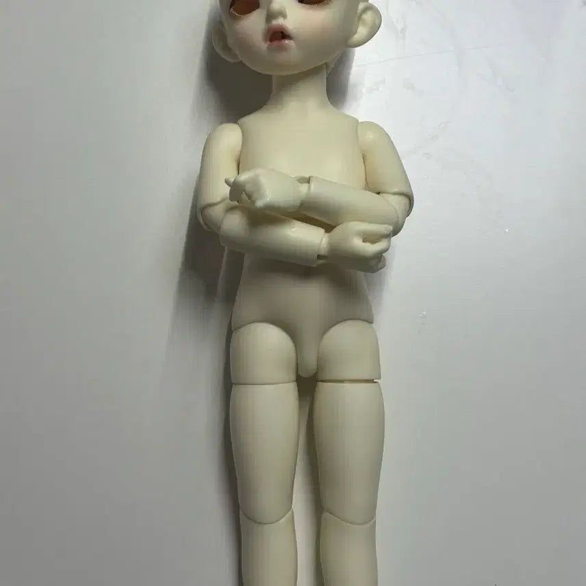 [BUNJANG] Napidoll Carol BJD / 나피돌 캐롤 구관 구체관절인형