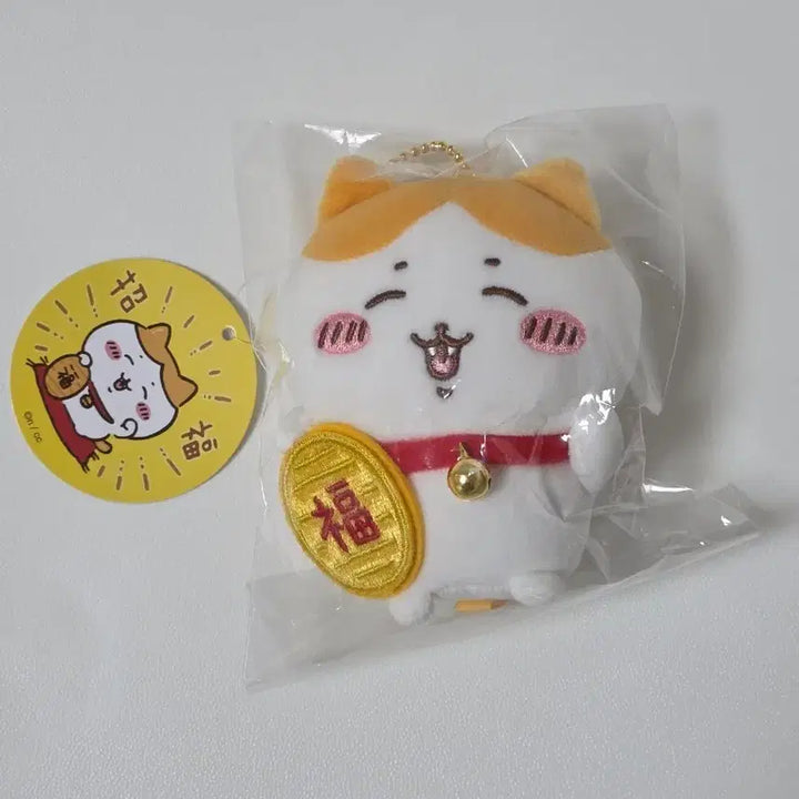 [SOLD OUT] 금치와레