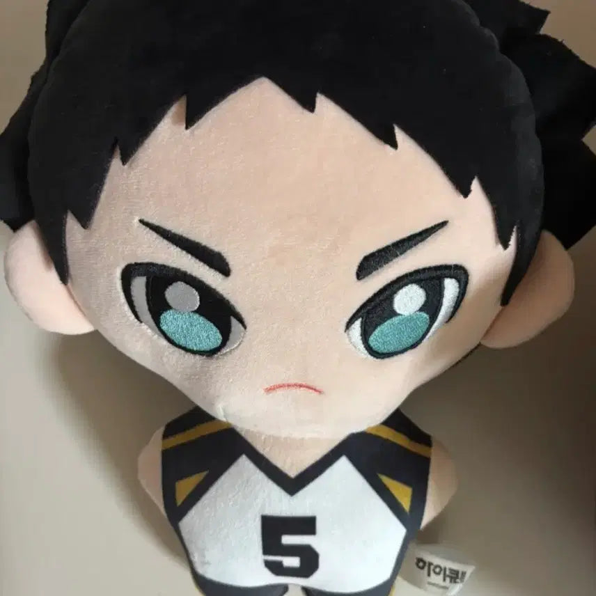 [BUNJANG] Haikyuu Akaashi Keiji Plush Doll / 하이큐 아카아시 인형