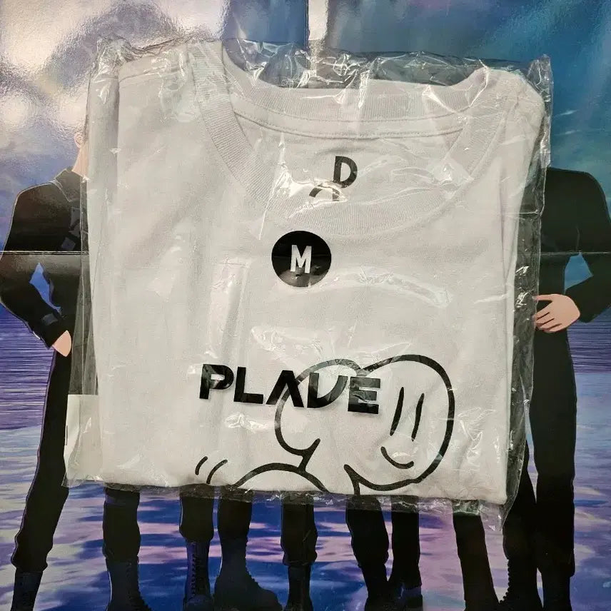 [BUNJANG] PLAVE Samin Crop T-shirt (M Size) / 플레이브 삼왜 크롭 티셔츠 M사이즈 의류택 있어요