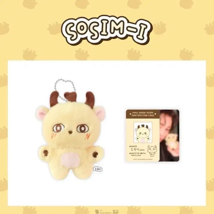 [BUNJANG] Park Jihoon Photocard / 급전 박지훈 소심이 양도