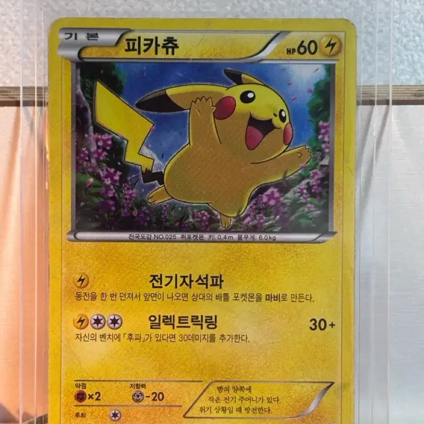 [BUNJANG] Pokemon Pikachu Promo Card / 포켓몬 카드 XY 피카츄 프로모 블래스타 B급