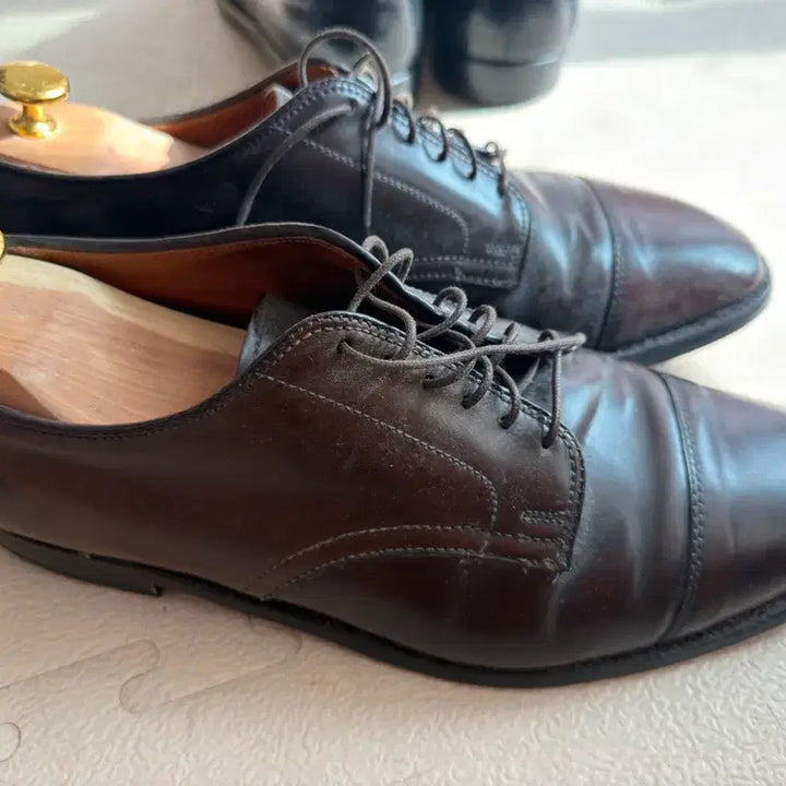 [BUNJANG] Alden 43601 Cigar Shell Cordovan Size 10 / 알든 43601 시가쉘코도반 10사이즈