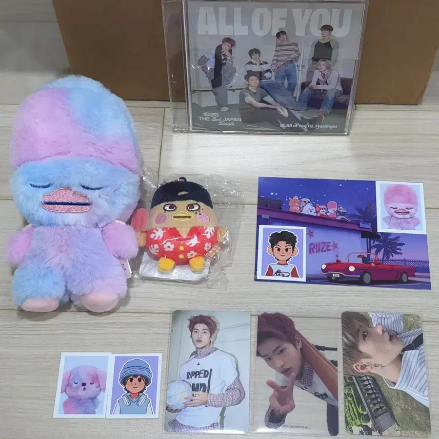 [BUNJANG] RIIZE Sohee Bundle Set Goods / 라이즈 소희 굿즈 일괄양도