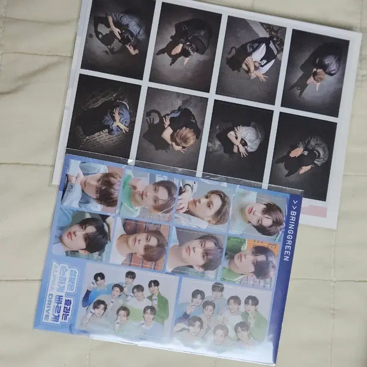 [BUNJANG] ALDY1 Workshop Sticker + Bring Green Sticker / 알디원 공방 스티커 + 브링그린 스티커