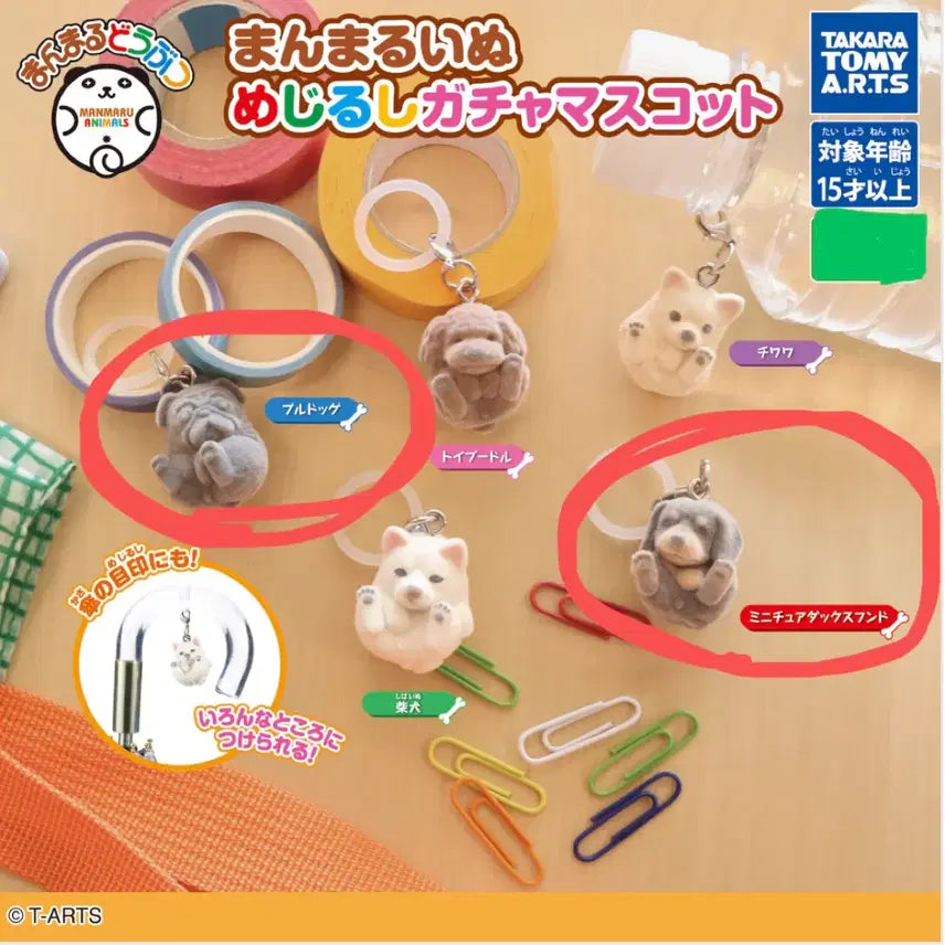 [BUNJANG] Mejirushi Dog Mascot Figure / 가챠 메지루시 개 마스코트 불독 닥스훈트