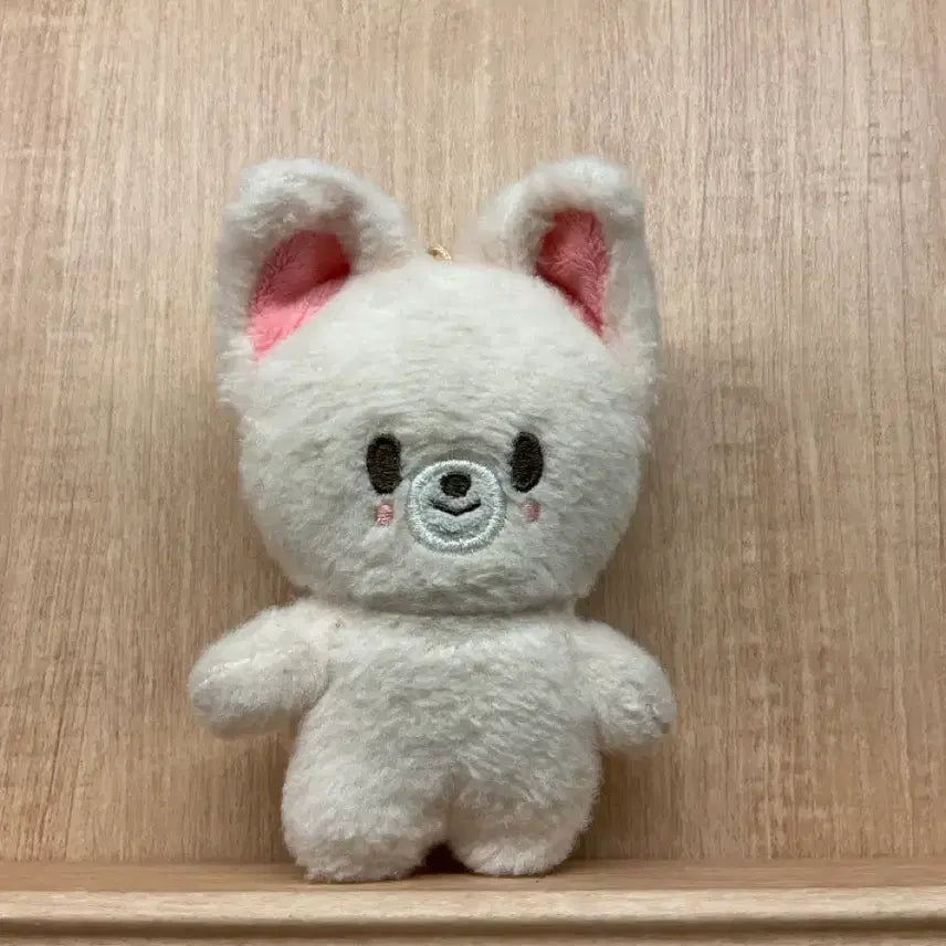 [SOLD OUT] 스키주 아이엔 폭시니 양도