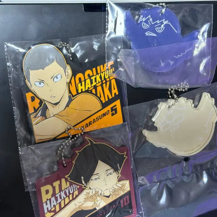 [BUNJANG] Haikyuu!! Kuji Keyring Set G / 하이큐 쿠지 키링 h g상