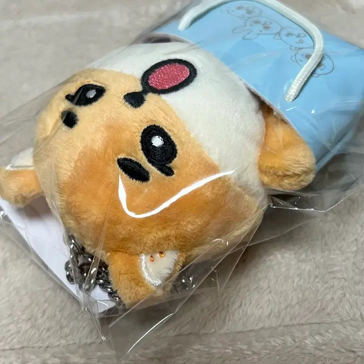 [SOLD OUT] 데이식스 일본 엠디 영케이 케 백참