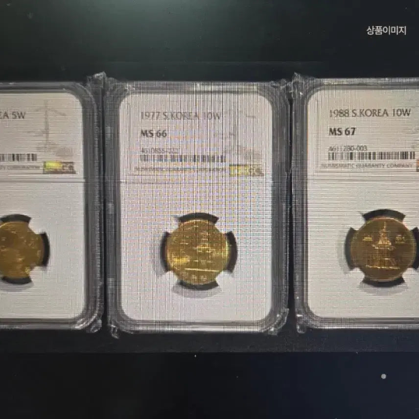 [SOLD OUT] 그레이딩 인증주화5점 일괄 분양합니다