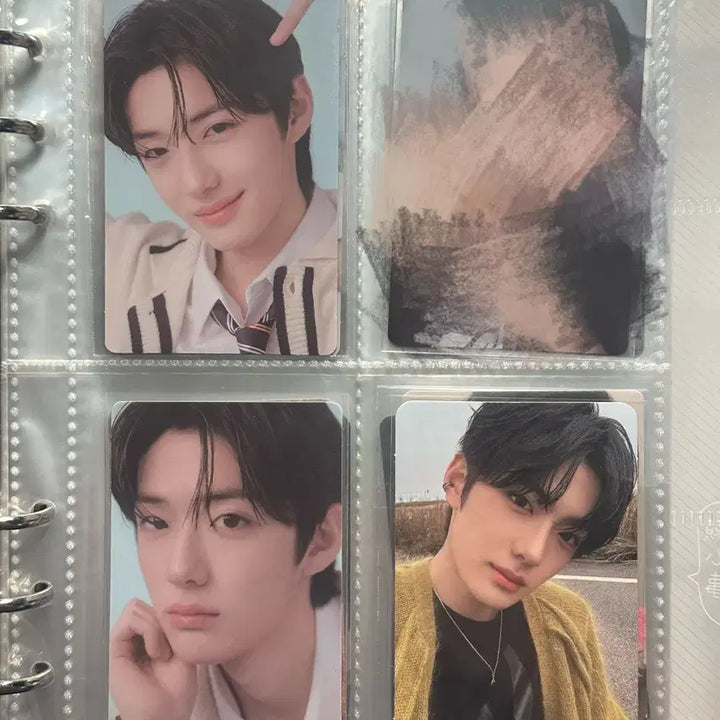 [BUNJANG] Alldayone Jung Sanghyun Photocard Bundle Set (12pcs) / 알디원 정상현 포카 일괄12장 포토카드 알파드라이브원