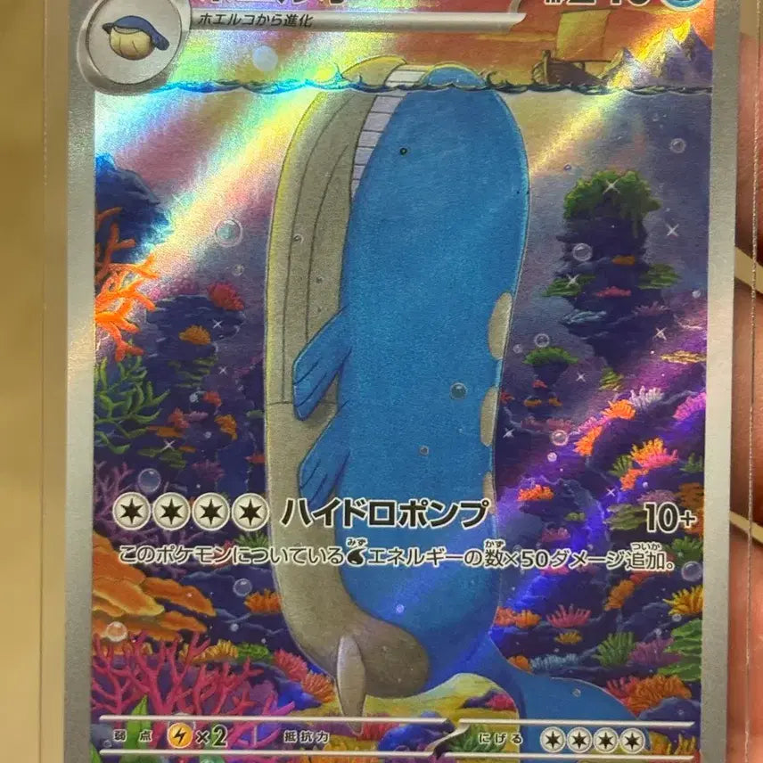 [BUNJANG] Various Pokemon Cards Bundle / 일판 메가 루차불 ma 및 ar 무우마 고래왕 꼬지모 등등 일괄판매
