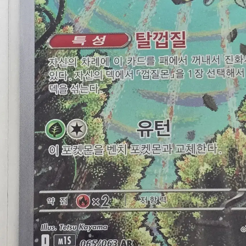 [BUNJANG] Pokemon Ice Cream AR Card / 포켓몬카드 아이스크 AR