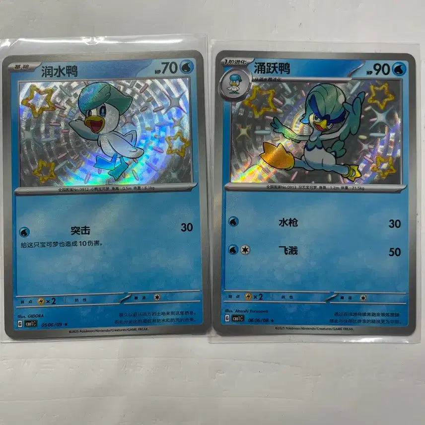 [BUNJANG] Pokemon Card Set (Grovyle, Torchic, Mudkip) - Second Edition / 포켓몬 카드 뜨아거, 나오하, 꾸왁스 중판 세트