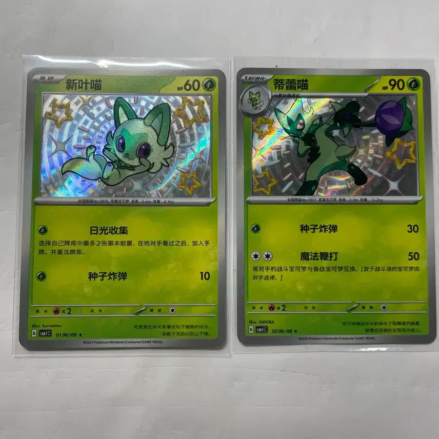 [BUNJANG] Pokemon Card Set (Grovyle, Torchic, Mudkip) - Second Edition / 포켓몬 카드 뜨아거, 나오하, 꾸왁스 중판 세트