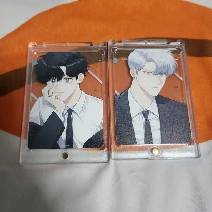 [BUNJANG] Winter Cherry Blossoms Haebom &amp; Taesung Frame Deck / 겨울지나벚꽃 프레임 덱 해봄 태성 일괄