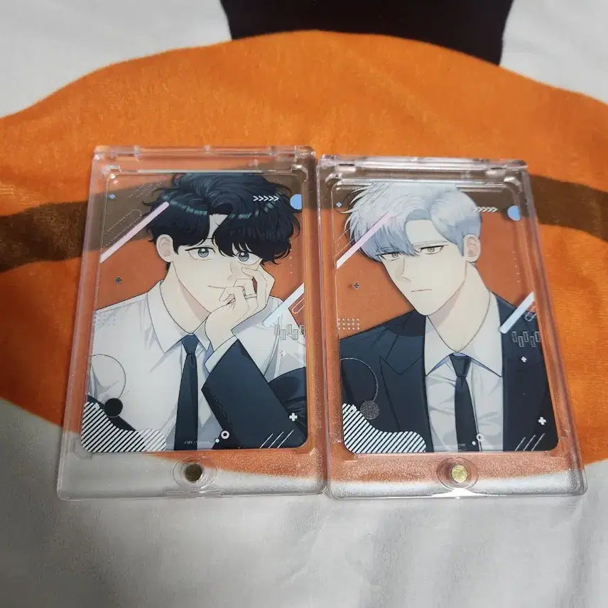 [BUNJANG] Winter Cherry Blossoms Haebom &amp; Taesung Frame Deck / 겨울지나벚꽃 프레임 덱 해봄 태성 일괄
