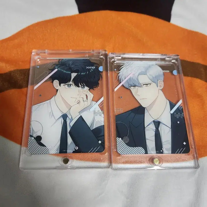 [BUNJANG] Winter Cherry Blossoms Haebom &amp; Taesung Frame Deck / 겨울지나벚꽃 프레임 덱 해봄 태성 일괄