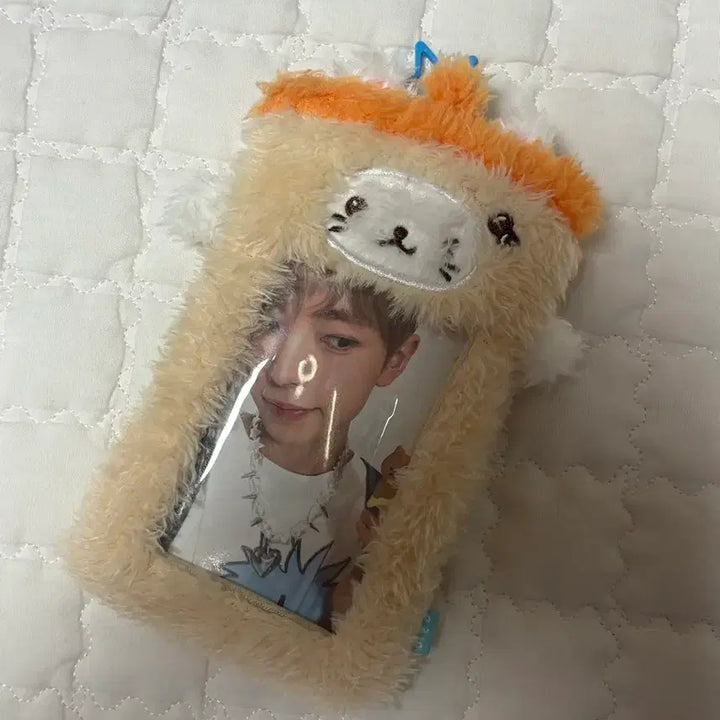 [SOLD OUT] [겉봉X, 원가이하] nct wish 버블냥 포카홀더