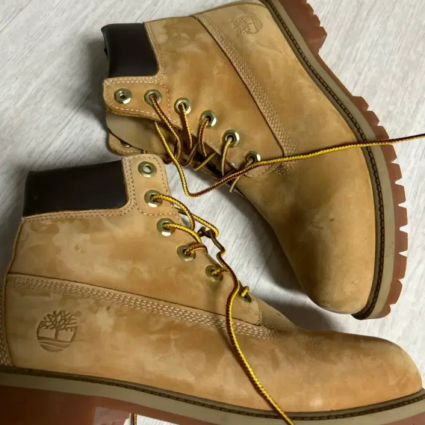[BUNJANG] Timberland 6-Inch Waterproof Boots (Size 240) / 팀버랜드 6인치 워터프루프 부츠 240